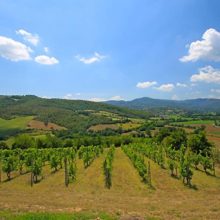 Holiday Home Montebello By Interhome Monterchi Kültér fotó